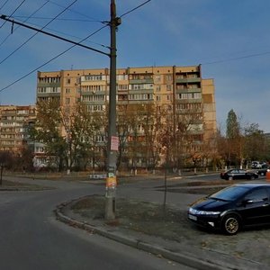 Heroiv Stalinhrada Avenue, 36, Kyiv: photo