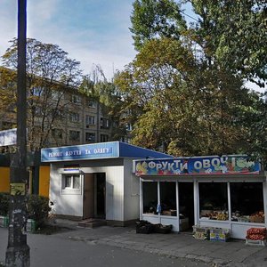 Saliutna Street, 21, Kyiv: photo