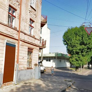Vulytsia Maksyma Zalizniaka, 17 ، لفيف: صورة