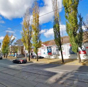 Hlybochytska Street, 71, Kyiv: photo