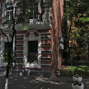 Shovkovychna Street, 30Б ، كييف: صورة