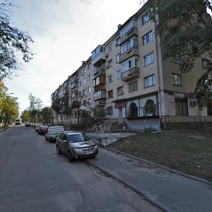 Saliutna Street, 10 ، كييف: صورة