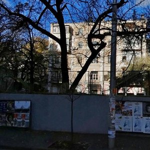 Saksahanskoho Street, 46, Kyiv: photo