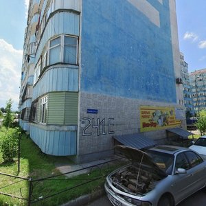 Raiymbek Avenue, 241Е, Almaty: photo