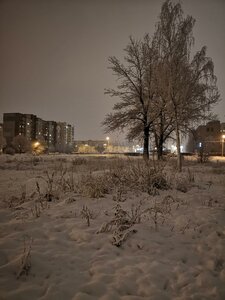 Praspiekt Frunze, 92, Vitebsk: photo