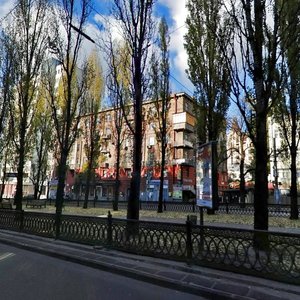 Tarasa Shevchenka Boulevard, 58, Kyiv: photo