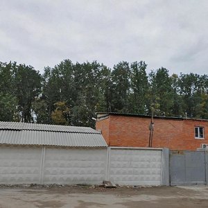 Vulytsia Viacheslava Chornovola, 51В, Vyshneve: photo