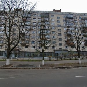 Heroiv Sevastopolia Street, 22, Kyiv: photo