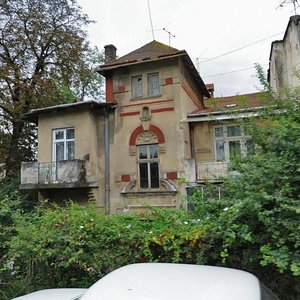 Metrolohichna vulytsia, 6, Lviv: photo