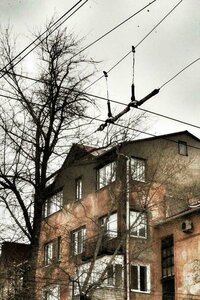 Ulitsa Mayakovskogo, 17, : foto