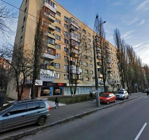 Lesi Ukrainky Boulevard, 24Б, Kyiv: photo