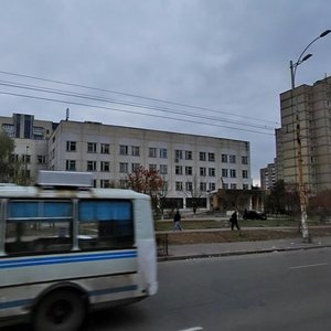 Akademika Yefremova Street, 11, Kyiv: photo