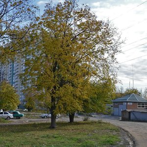 Краснодар, Улица Селезнёва, 80/1: фото