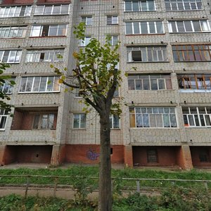 Йошкар‑Ола, Улица Якова Эшпая, 84: фото