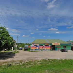 Proletarka Street, 9, Kurovskoye: photo