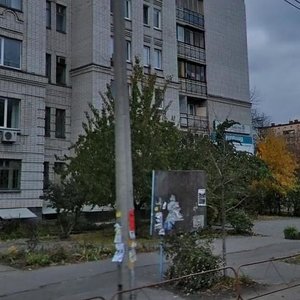 Mezhihirska Street, 43, Kyiv: photo