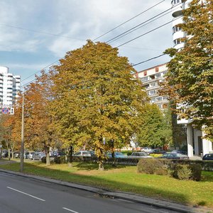 Viery Haruzhaj Street, 16, Minsk: photo