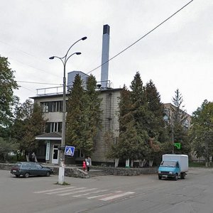 Ivana Mazepy Avenue, 8, Vyshhorod: photo