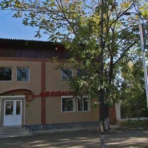 Sholom-Aleykhema Street, 44Б, Birobidgan: photo