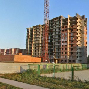 Rabochiy posyolok Krasnoobsk, 246, : foto