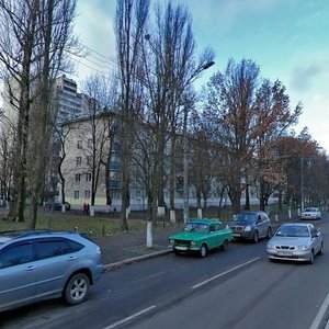 Heroiv Sevastopolia Street, 32, Kyiv: photo