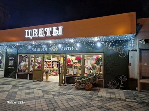 Turgeneva Street, 104 ، كراسنودار: صورة
