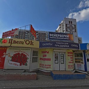 Vladimirskaya Street, 31к1, Samara: photo