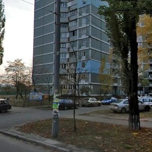 Yordanska Street, 1А, Kyiv: photo
