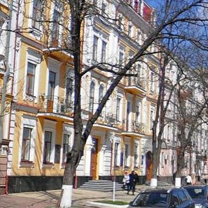 Volodymyrska Street, 30, Kyiv: photo