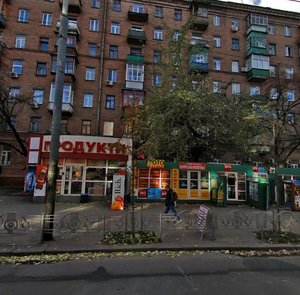 Sichovykh Striltsiv Street, 103, Kyiv: photo