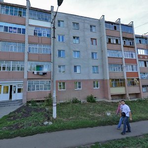 Veselovskogo Street, 27А, Saransk: photo