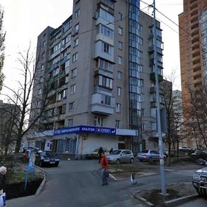 Profesora Pidvysotskoho Street, 6, Kyiv: photo