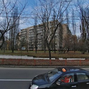 Svobody Avenue, 1/60А, Kyiv: photo