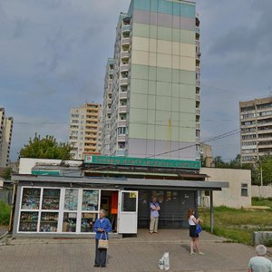 Vishnyakovskoye shosse, 95, Balashiha: photo