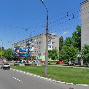 Lesi Ukrainky avenue, 5, Kremenchuk: photo