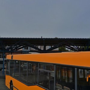 Bolshaya Olonskaya Street, 42А ، بارناول: صورة