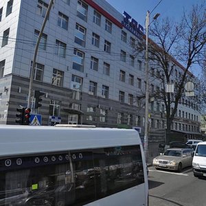 Zhylianska Street, 87/30 ، كييف: صورة