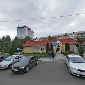 Ivana Mazepy Avenue, 1А, Vyshhorod: photo