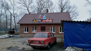 Рубцовск, Алтайская улица, 169: фото