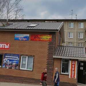 Kosmodemyanskaya ulitsa, 13, Shelkovo: photo