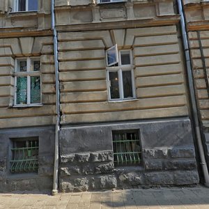 Vulytsia Nechuia-Levytskoho, 16, Lviv: photo