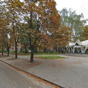 Martyrosiana Street, 13, Kyiv: photo