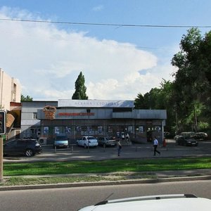 Raiymbek Avenue, 162/1, : foto