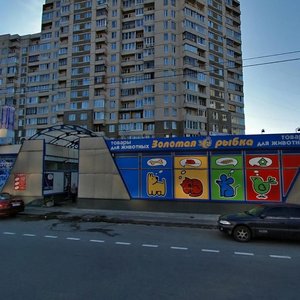 Engelsa Avenue, 132 ، سان بطرسبرغ: صورة