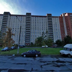 Rybatskiy Avenue, 43к1 ، سان بطرسبرغ: صورة
