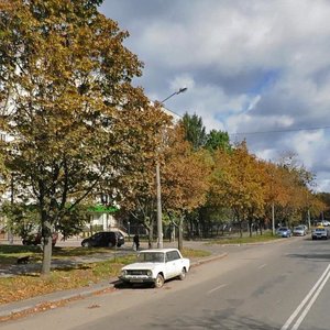 Svitlytskoho Street, 28, Kyiv: photo