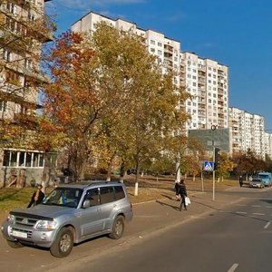 Obolonskyi Avenue, 9, Kyiv: photo