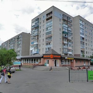 Vulytsia Pyrohova, 112А, Vinnytsia: photo