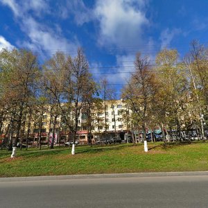 Чебоксары, Московский проспект, 50: фото