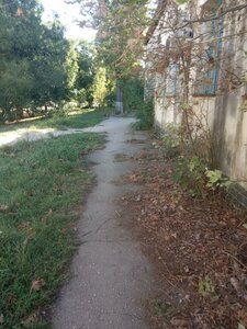 Borisa Mikhaylova Street, 25А, : foto